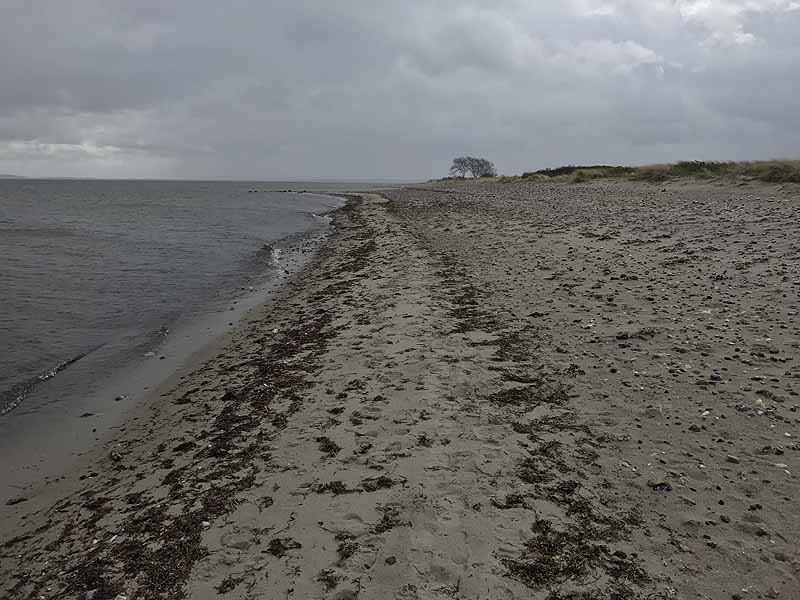 FKK-Strand (Behrensdorf, Schleswig-Holstein)