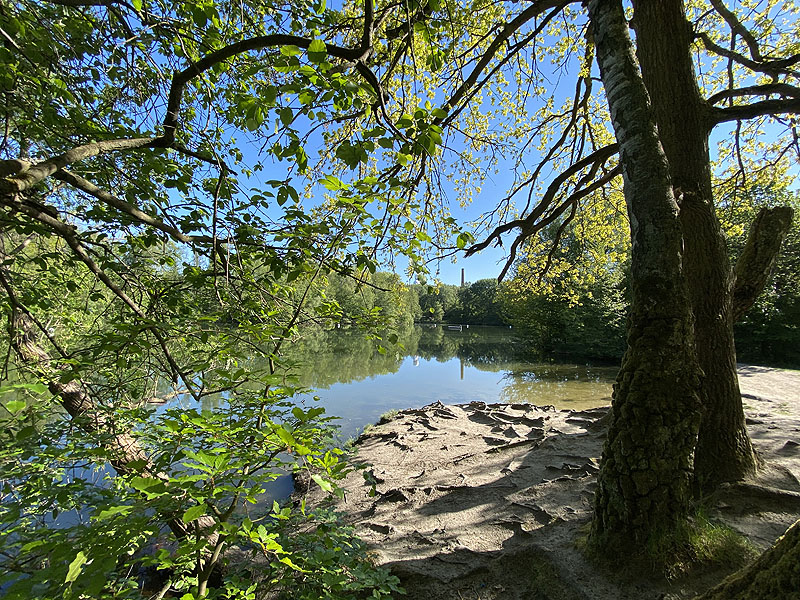 Teufelssee im Grunewald (Berlin)