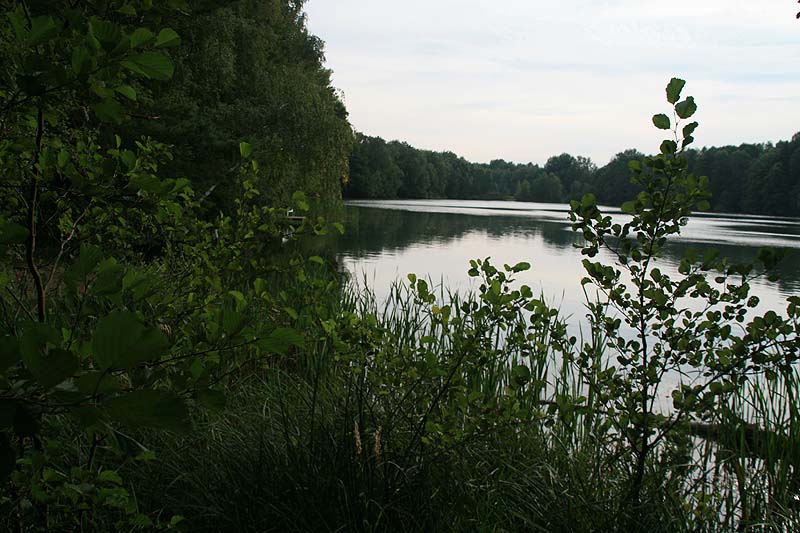 FKK-Campingplatz Bestensee (Bestensee, Brandenburg)