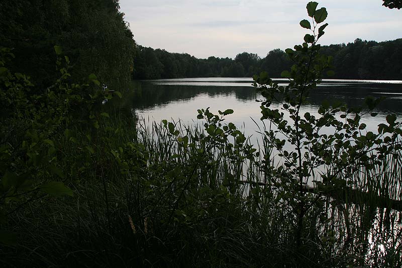 FKK-Campingplatz Bestensee (Bestensee, Brandenburg)