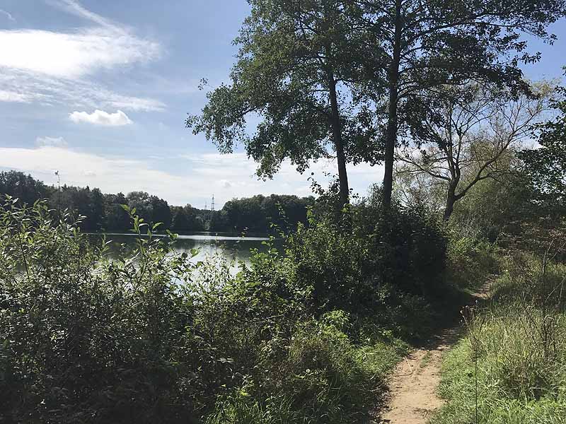 Bornbruchsee (Mörfelden-Walldorf, Hessen)