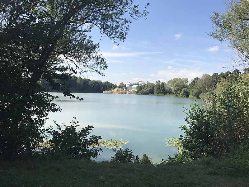 Bornbruchsee (Mörfelden-Walldorf, Hessen)