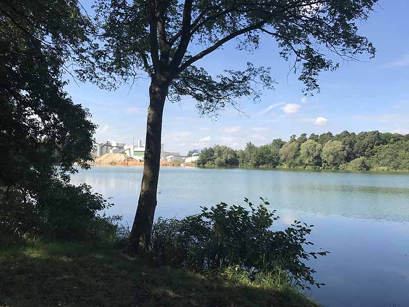 Bornbruchsee (Mörfelden-Walldorf, Hessen)