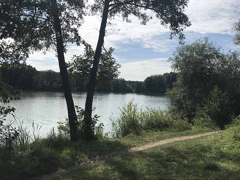 Bornbruchsee (Mörfelden-Walldorf, Hessen)