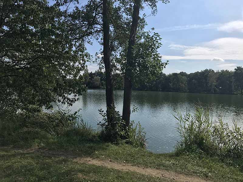 Bornbruchsee (Mörfelden-Walldorf, Hessen)
