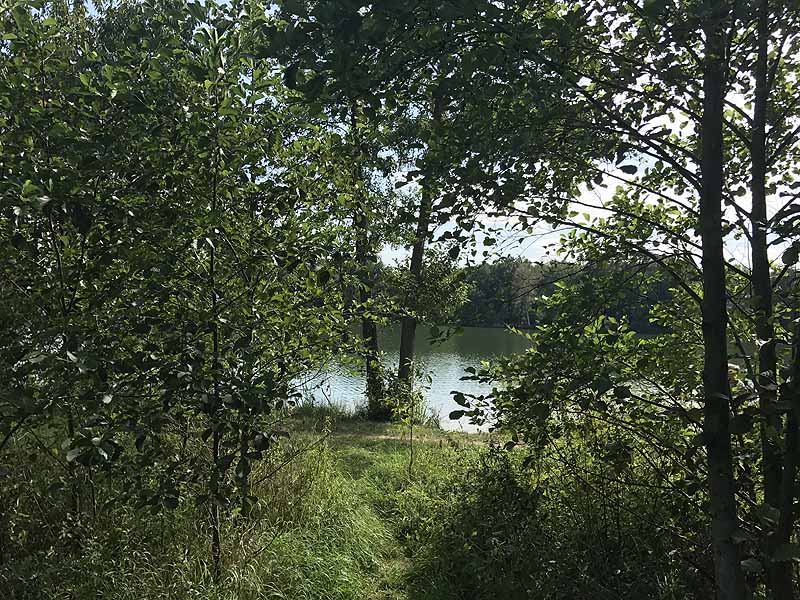 Bornbruchsee (Mörfelden-Walldorf, Hessen)