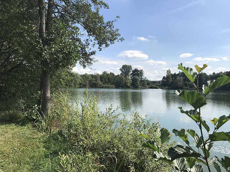 Bornbruchsee (Mörfelden-Walldorf, Hessen)