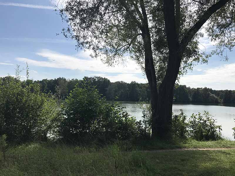 Bornbruchsee (Mörfelden-Walldorf, Hessen)