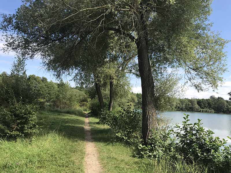 Bornbruchsee (Mörfelden-Walldorf, Hessen)