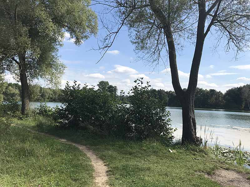 Bornbruchsee (Mörfelden-Walldorf, Hessen)