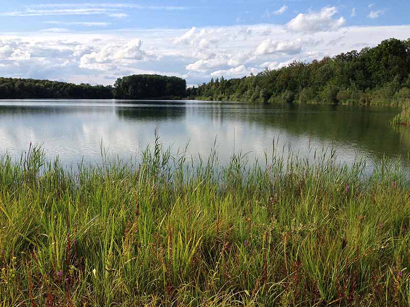 Breitenauer See (Linkenheim, Baden-Württemberg)