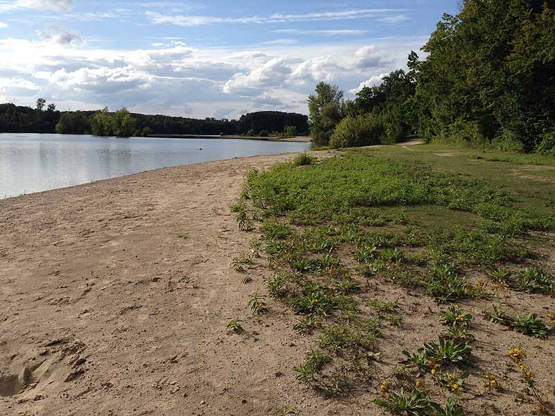 Breitenauer See (Linkenheim, Baden-Württemberg)