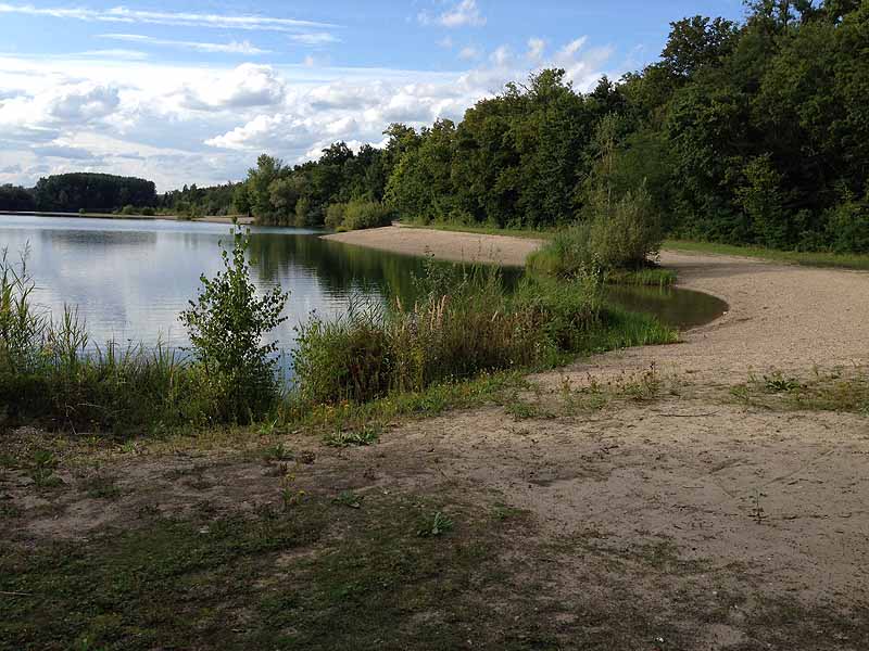 Breitenauer See (Linkenheim, Baden-Württemberg)