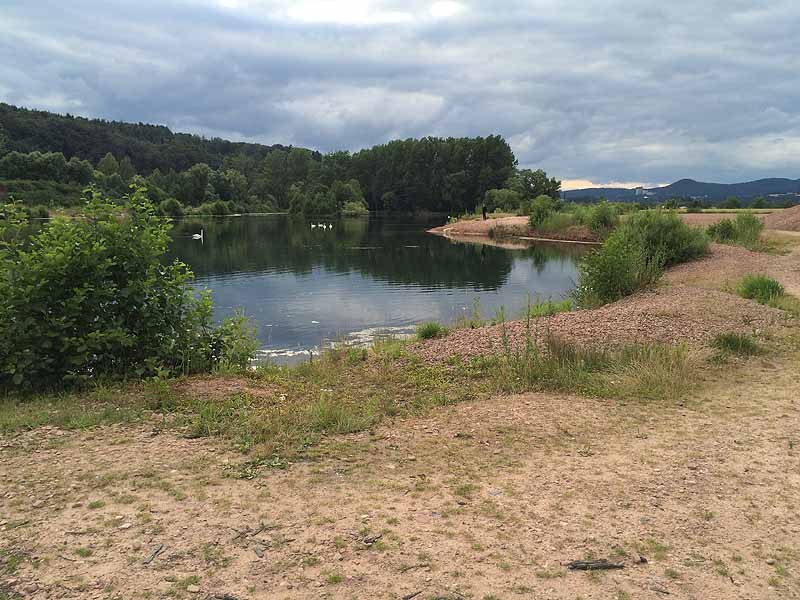 Breitenbacher See (Bebra, Hessen)