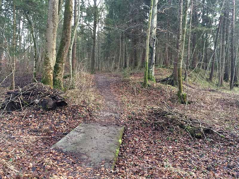 Gemütliche Wanderung zur Burg Stein in Altenmarkt an der Alz (Bayern)