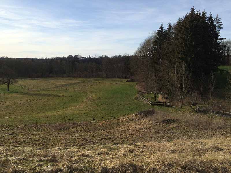 Gemütliche Wanderung zur Burg Stein in Altenmarkt an der Alz (Bayern)