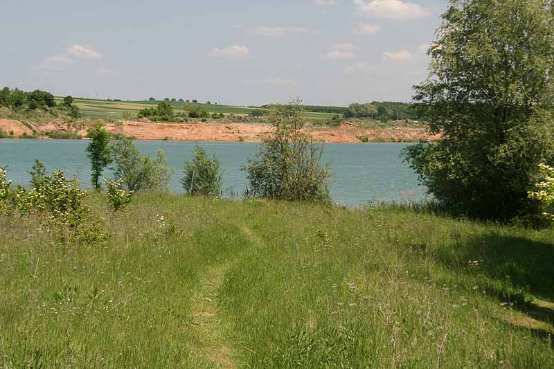 Baggersee (Dettelbach, Bayern)