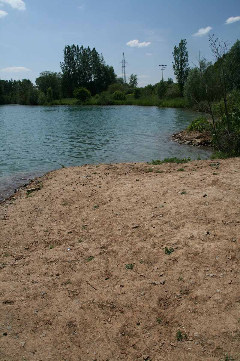 Baggersee (Dettelbach, Bayern)