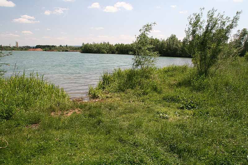 Baggersee (Dettelbach, Bayern)