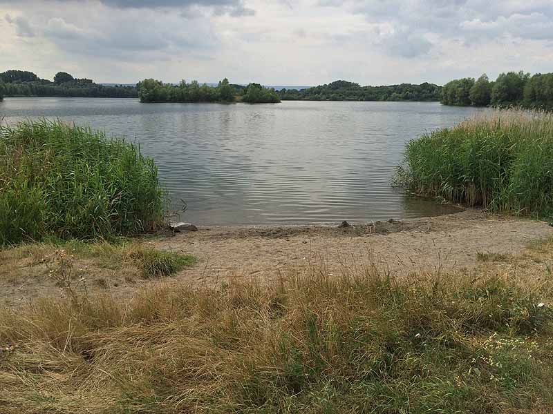 Ditfurter See (Ditfurt, Sachsen-Anhalt)