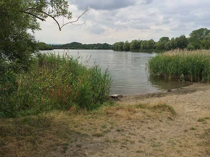 Ditfurter See (Ditfurt, Sachsen-Anhalt)