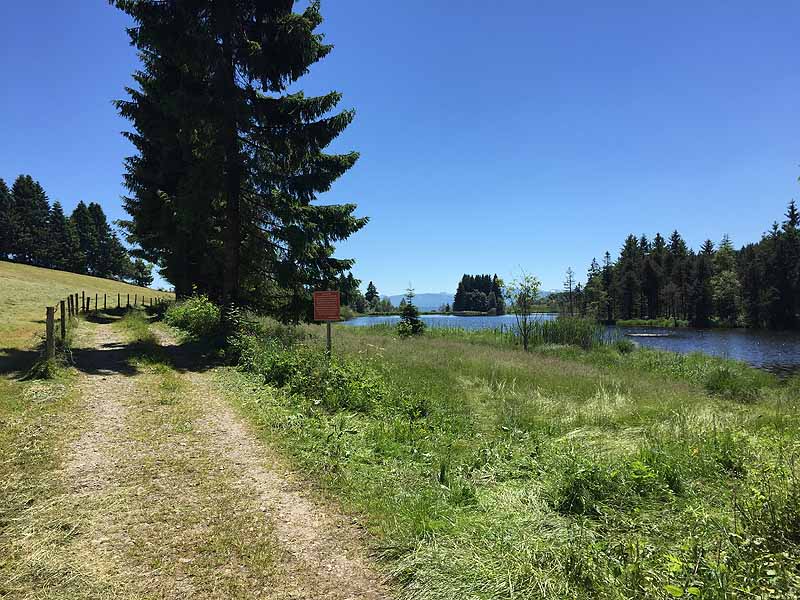 Eschacher Weiher (Kempten/Allgäu, Bayern)