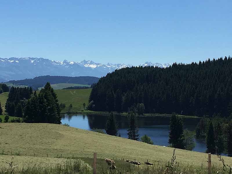 Eschacher Weiher (Kempten/Allgäu, Bayern)