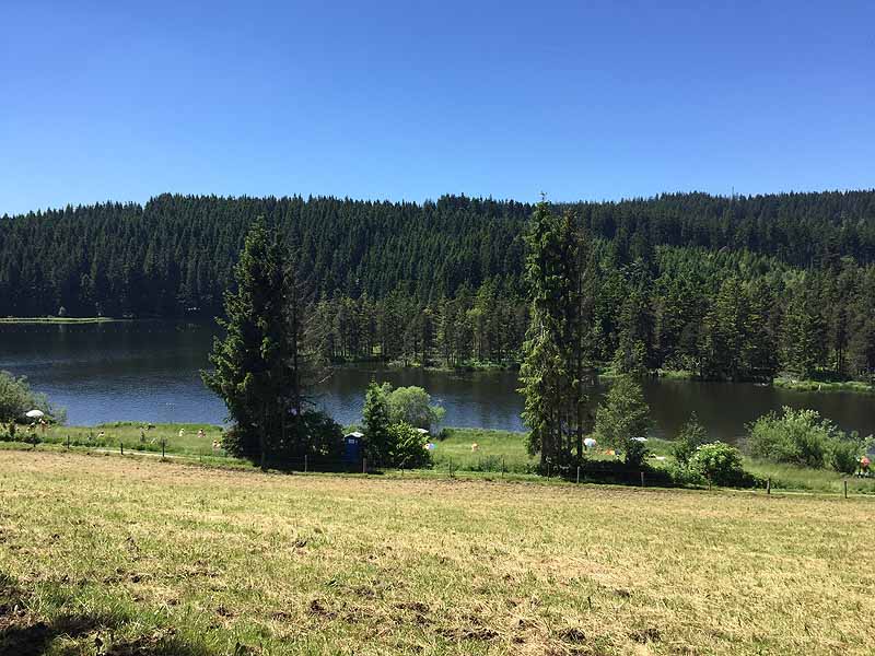 Eschacher Weiher (Kempten/Allgäu, Bayern)