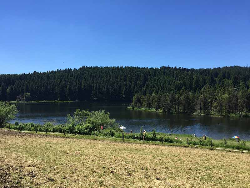 Eschacher Weiher (Kempten/Allgäu, Bayern)