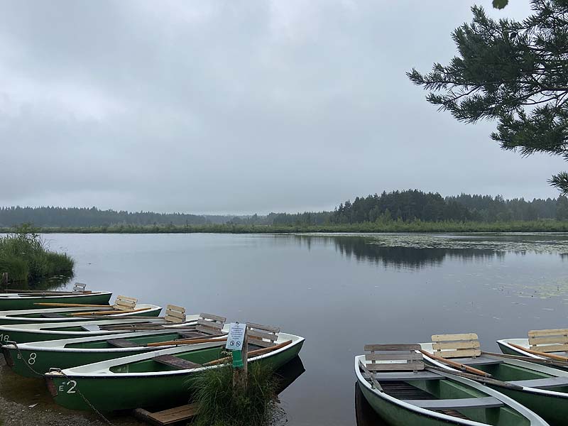 Der Badesee Elbsee in Aitrang