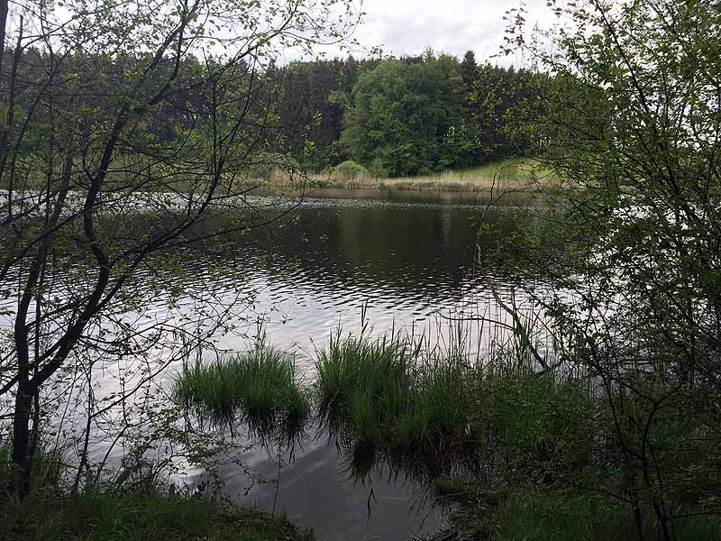 Elitzer See (Wangen im Allgäu, Baden-Württemberg)