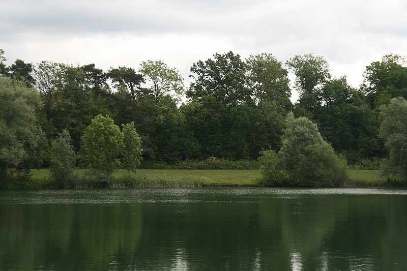 Baggersee (Erbach-Ersingen, Baden-Württemberg)