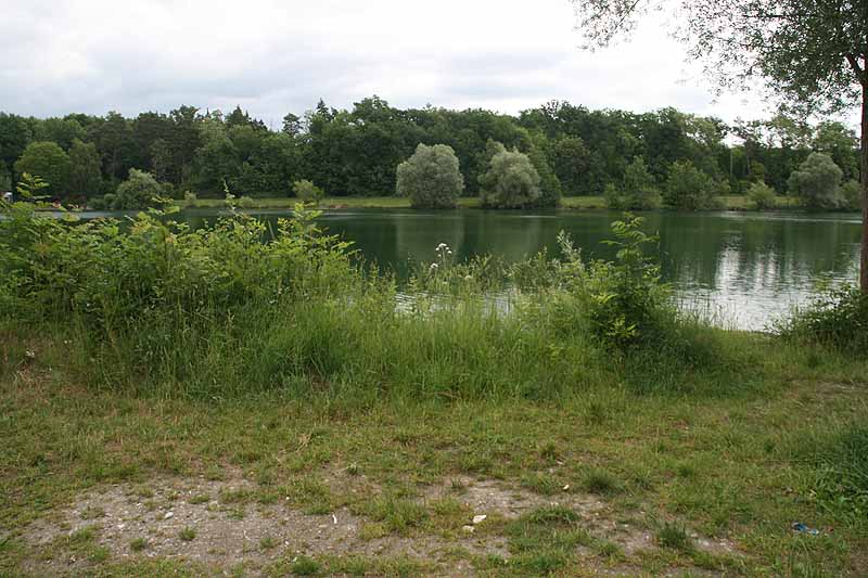 Baggersee (Erbach-Ersingen, Baden-Württemberg)