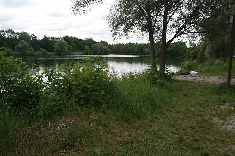 Baggersee (Erbach-Ersingen, Baden-Württemberg)