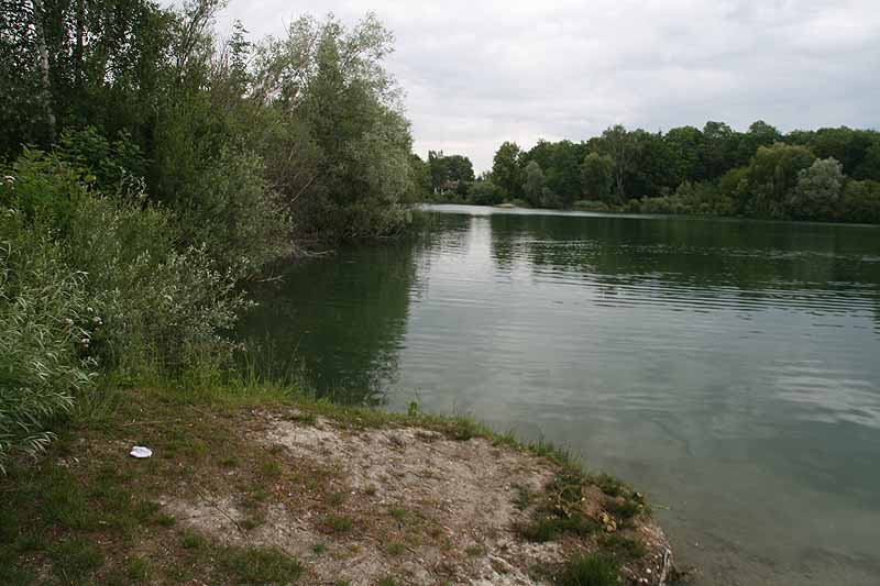 Baggersee (Erbach-Ersingen, Baden-Württemberg)