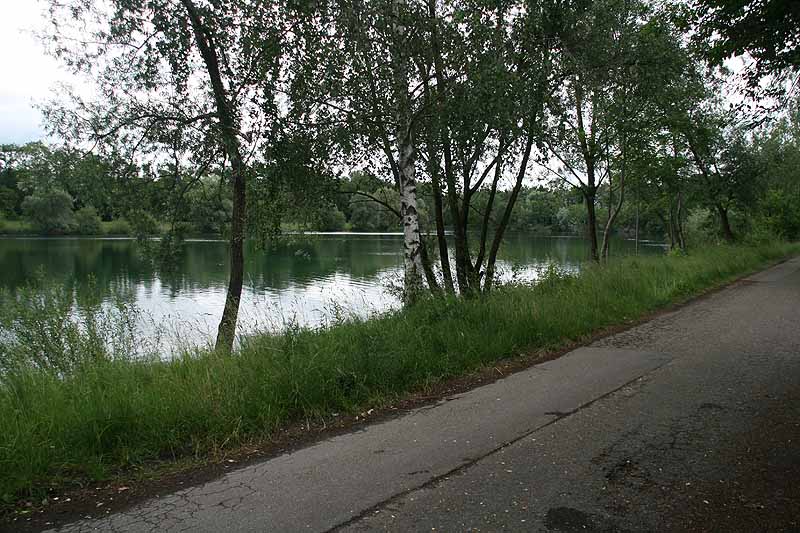 Baggersee (Erbach-Ersingen, Baden-Württemberg)