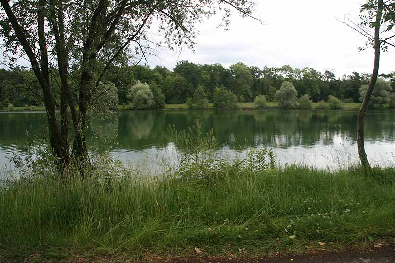 Baggersee (Erbach-Ersingen, Baden-Württemberg)