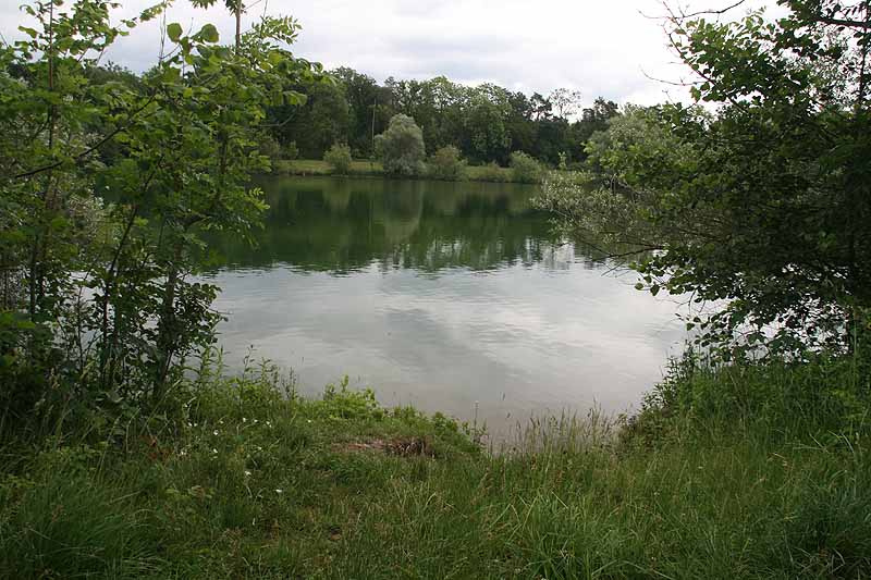 Baggersee (Erbach-Ersingen, Baden-Württemberg)