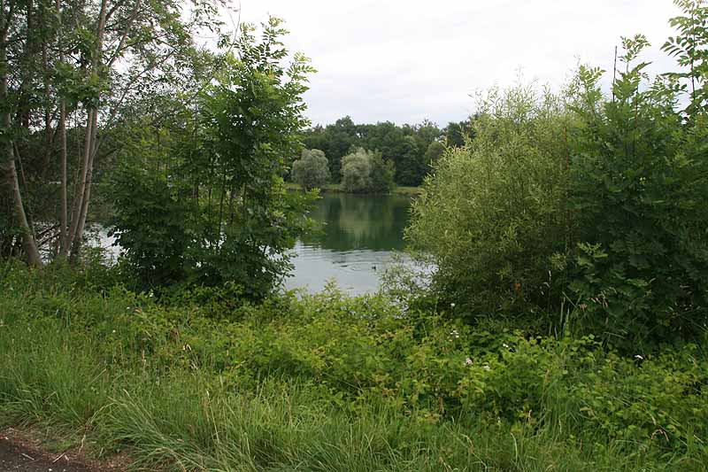 Baggersee (Erbach-Ersingen, Baden-Württemberg)