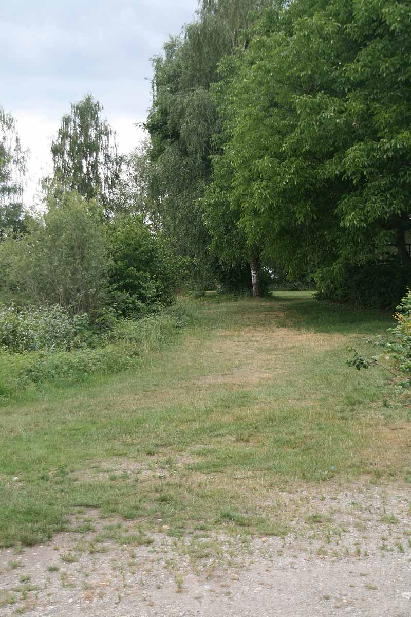 Baggersee (Erbach-Ersingen, Baden-Württemberg)
