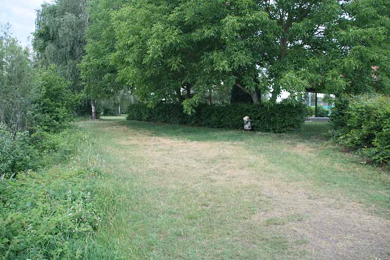 Baggersee (Erbach-Ersingen, Baden-Württemberg)