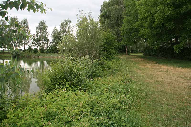 Baggersee (Erbach-Ersingen, Baden-Württemberg)