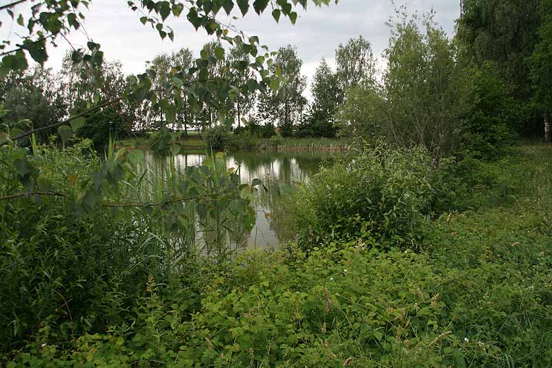 Baggersee (Erbach-Ersingen, Baden-Württemberg)