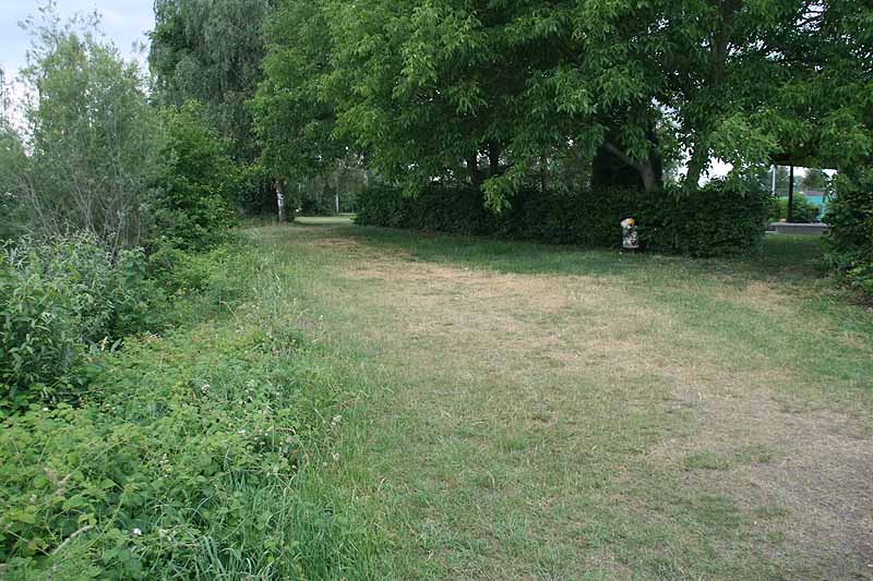 Baggersee (Erbach-Ersingen, Baden-Württemberg)