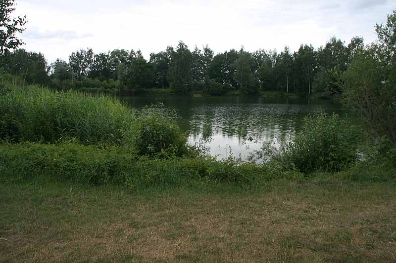 Baggersee (Erbach-Ersingen, Baden-Württemberg)