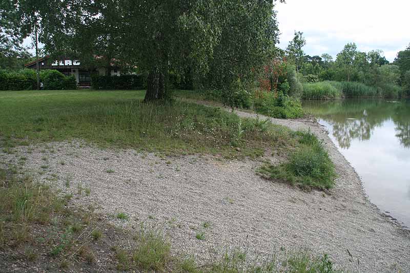 Baggersee (Erbach-Ersingen, Baden-Württemberg)