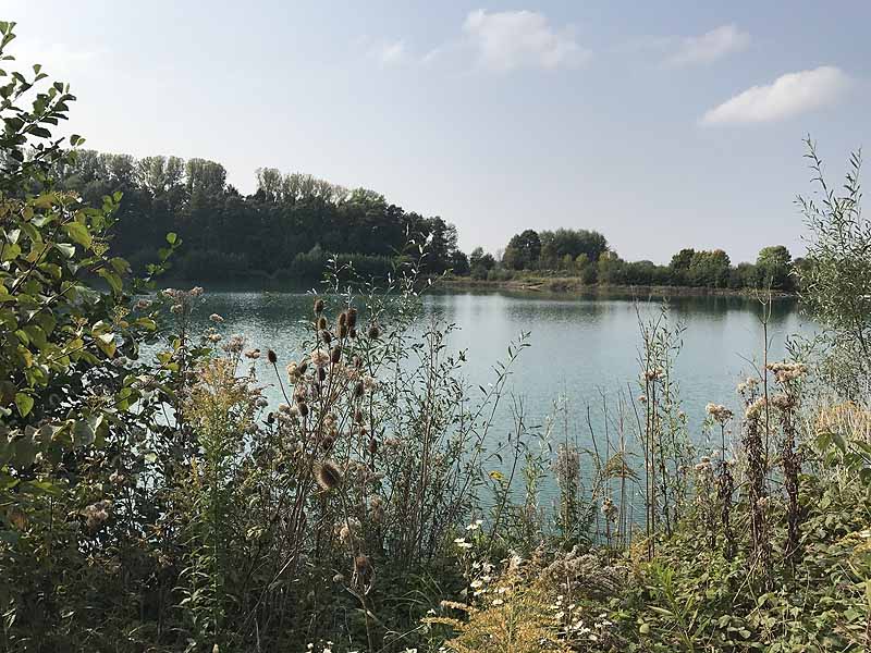 Erlache (Bensheim, Hessen)