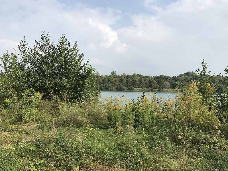 Erlache (Bensheim, Hessen)