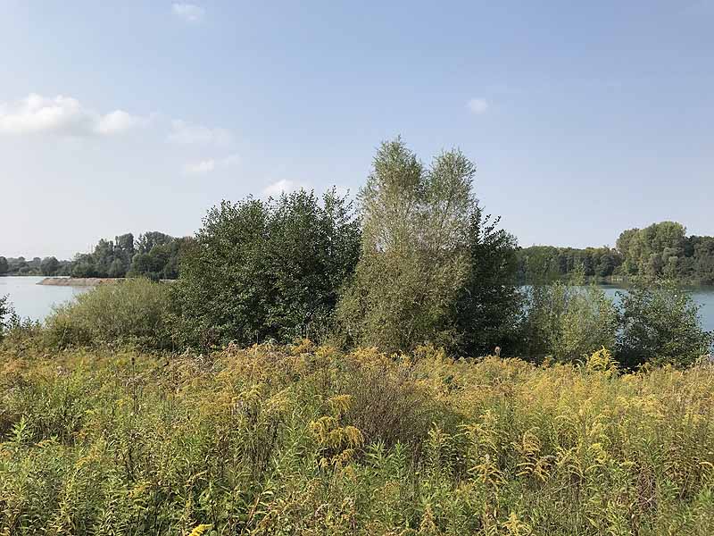 Erlache (Bensheim, Hessen)
