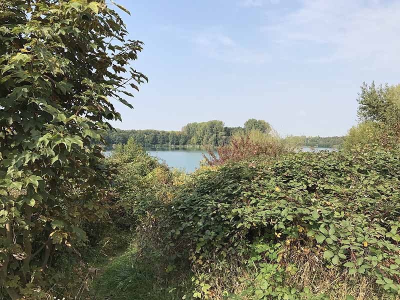 Erlache (Bensheim, Hessen)